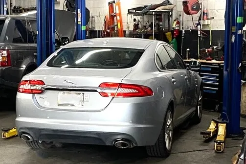 jaguar