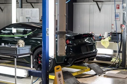 lotus