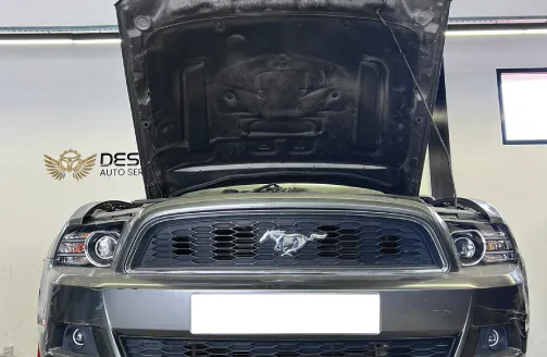 mustang